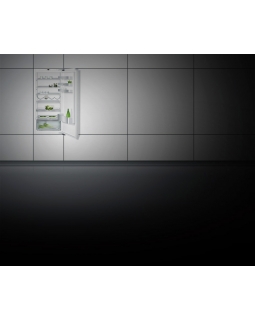 Холодильный шкаф Gaggenau RC222203-foto2
