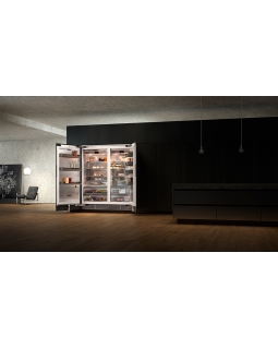 Холодильный шкаф Gaggenau RC492304-foto2