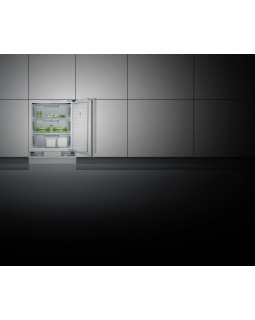 Морозильник Gaggenau RF200202-foto2